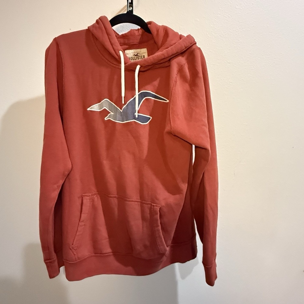 Hollister Mens Hoodie  Bird Logo Pullover Size Large